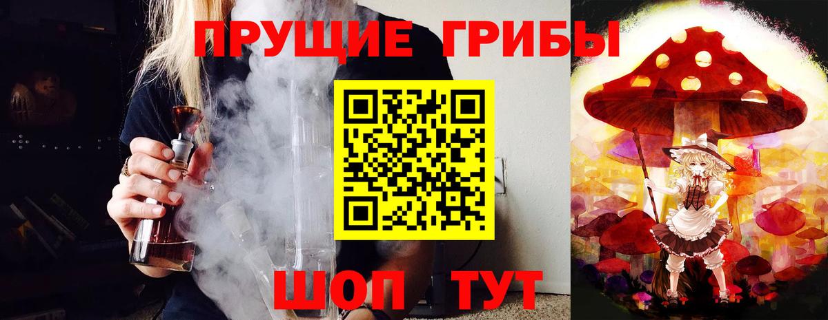 Галлюциногенные грибы Magic Shrooms Кохма